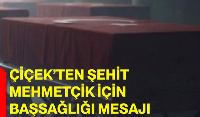 Çiçek’ten şehit mehmetçik için başsağlığı mesajı