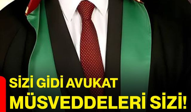 Sizi gidi avukat müsveddeleri sizi!
