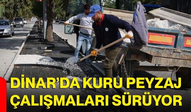 Dinar’da kuru peyzaj çalışmaları sürüyor