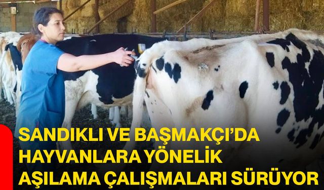 Sandıklı ve Başmakçı’da hayvanlara yönelik aşılama çalışmaları sürüyor