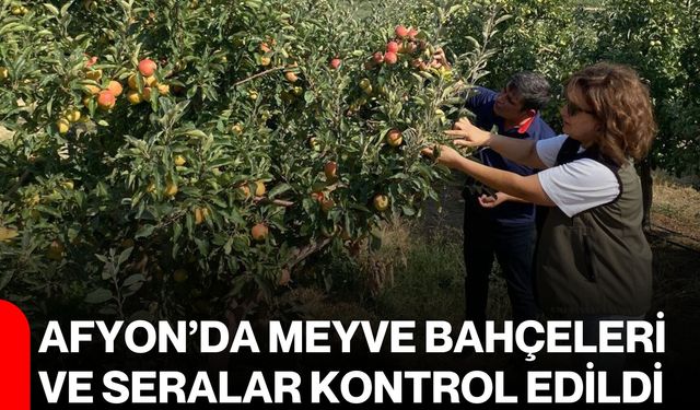 Afyon’da meyve bahçeleri ve seralar kontrol edildi