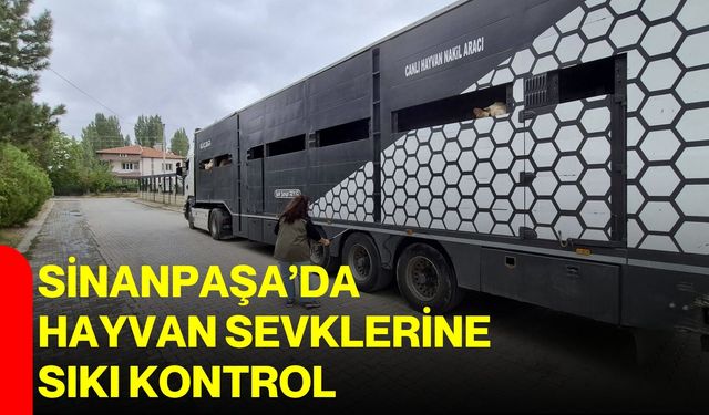 Sinanpaşa’da hayvan sevklerine sıkı kontrol
