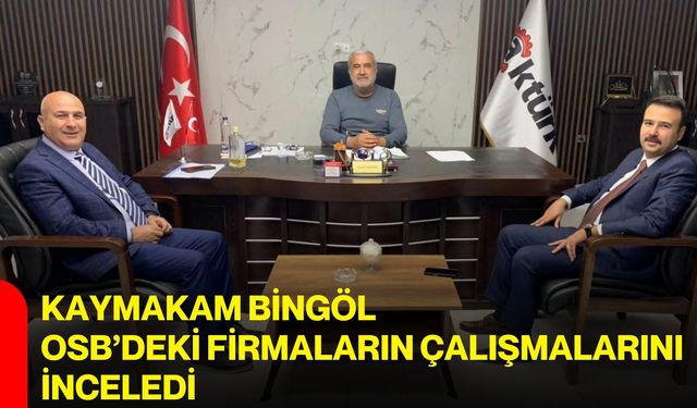 Kaymakam Bingöl OSB’deki firmaların çalışmalarını inceledi