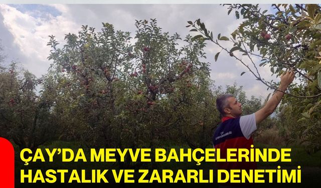 Çay’da meyve bahçelerinde hastalık ve zararlı denetimi