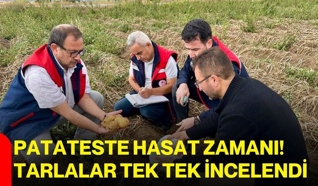 Patateste hasat zamanı! Tarlalar tek tek incelendi