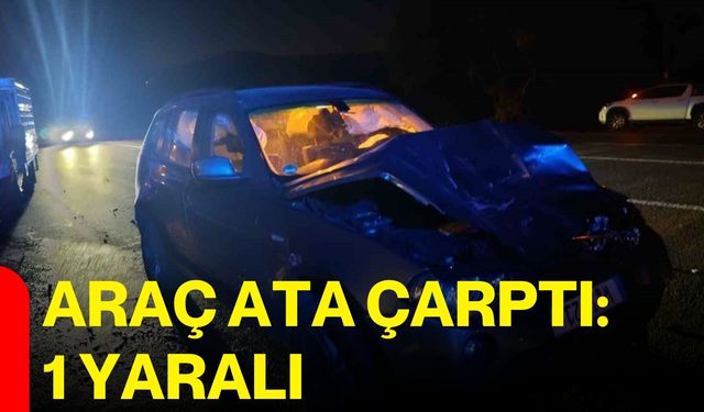 Araç ata çarptı: 1 yaralı