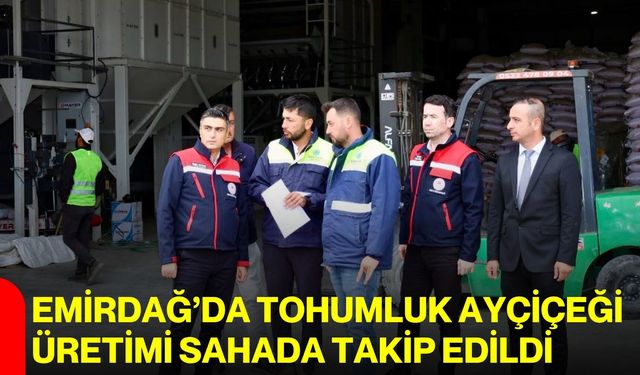Emirdağ’da tohumluk ayçiçeği üretimi sahada takip edildi