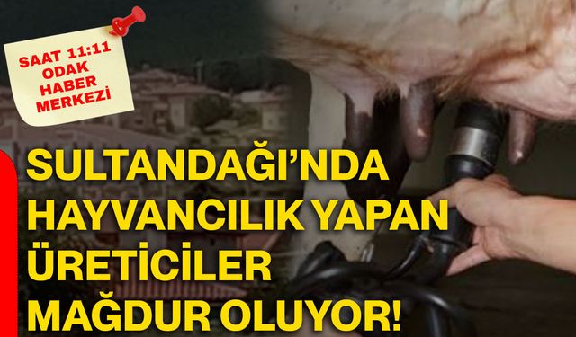 Sultandağı’nda hayvancılık yapan üreticiler mağdur oluyor!
