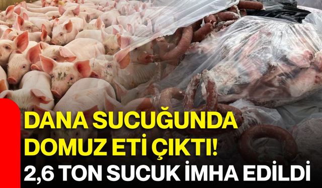 Dana sucuğunda domuz eti çıktı! 2,6 ton sucuk imha edildi