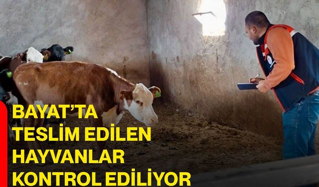 Bayat’ta teslim edilen hayvanlar kontrol ediliyor