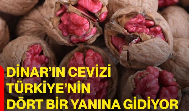 Dinar’ın cevizi Türkiye’nin dört bir yanına gidiyor