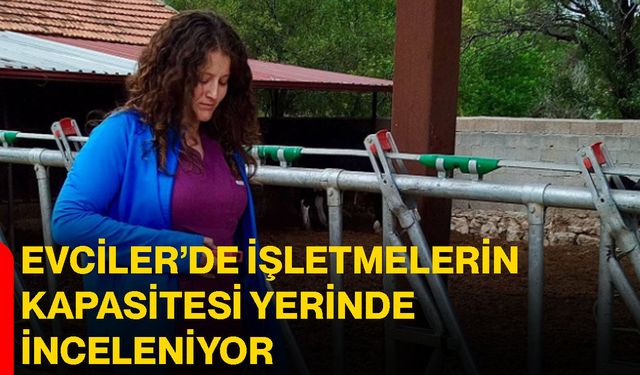 Evciler’de işletmelerin kapasitesi yerinde inceleniyor