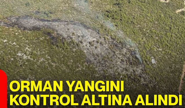 Orman yangını kontrol altına alındı