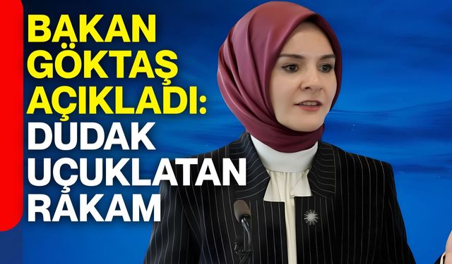 Bakan Göktaş açıkladı: Dudak uçuklatan rakam