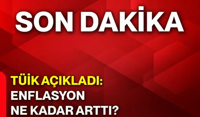TÜİK açıkladı: Enflasyon verileri ne kadar arttı?