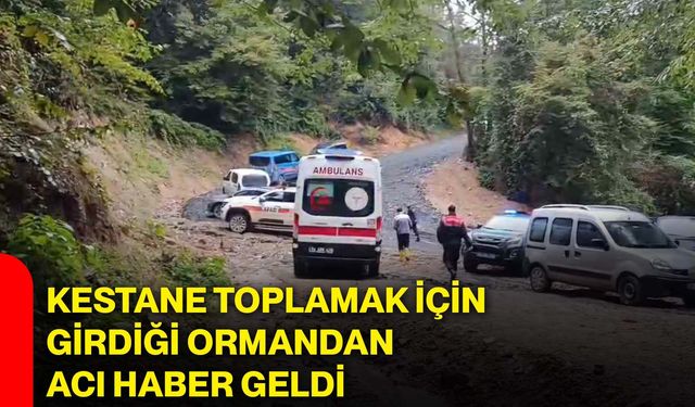 Kestane toplamak için girdiği ormandan acı haber geldi