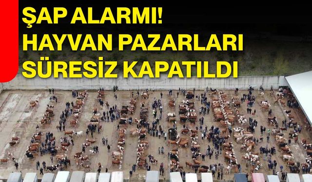 Şap alarmı! Hayvan pazarları süresiz kapatıldı