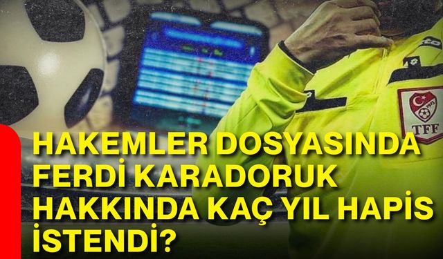 Hakemler dosyasında Ferdi Karadoruk hakkında kaç yıl hapis istendi?