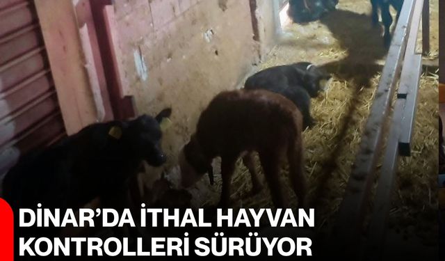 Dinar’da ithal hayvan kontrolleri sürüyor