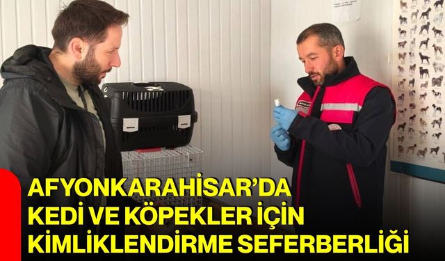 Afyonkarahisar’da kedi ve köpekler için kimliklendirme seferberliği