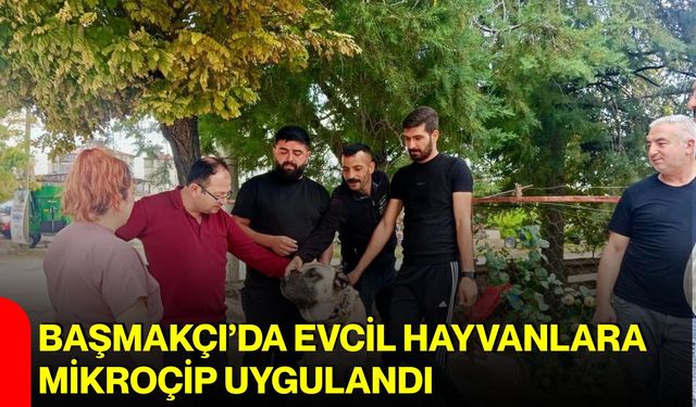 Başmakçı’da evcil hayvanlara mikroçip uygulandı