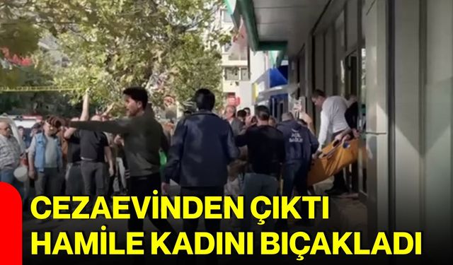 Cezaevinden çıktı, hamile kadını bıçakladı