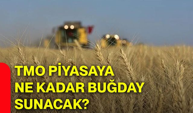 TMO piyasaya ne kadar buğday sunacak?