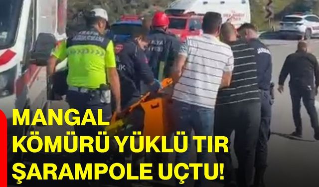 Mangal kömürü yüklü tır şarampole uçtu!