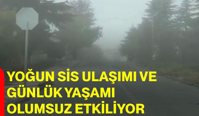 Yoğun sis ulaşımı ve günlük yaşamı olumsuz etkiliyor