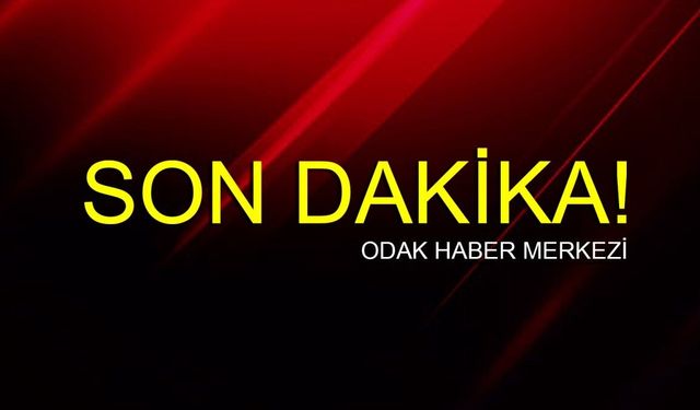 Yakalanan DEAŞ üyesi tutuklandı