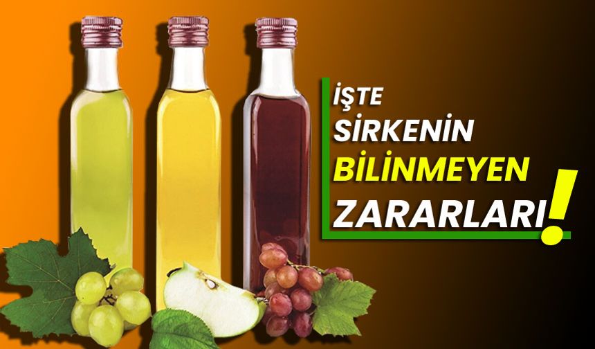 İşte sirkenin bilinmeyen zararları!