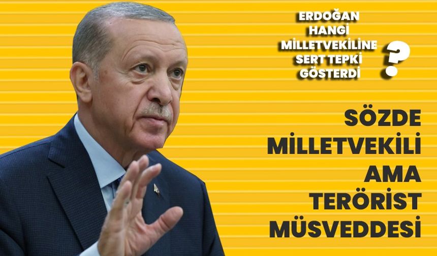 Erdoğan hangi milletvekiline sert tepki gösterdi?