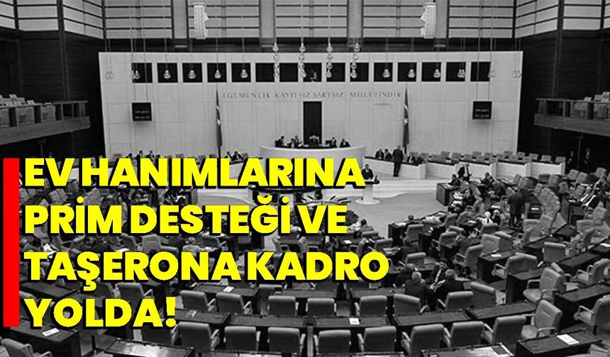 Ev hanımlarına prim desteği ve taşerona kadro yolda!