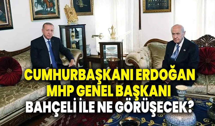 Cumhurbaşkanı Erdoğan, MHP Genel Başkanı Bahçeli ile görüşecek