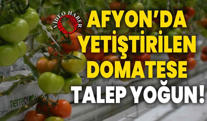 Afyonkarahisar’da yetiştirilen domatese talep yoğun!