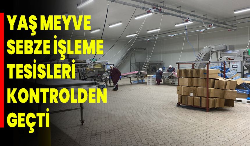 Yaş Meyve-Sebze İşleme Tesisleri Kontrolden Geçti