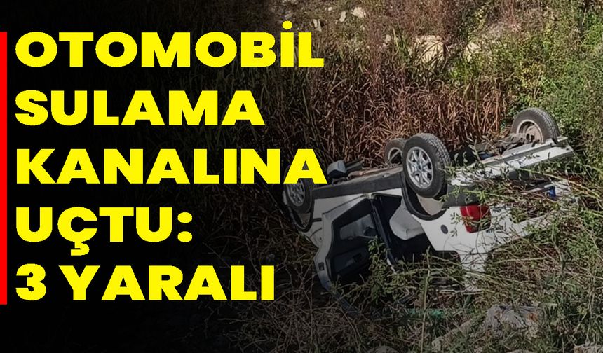 Otomobil sulama kanalına uçtu: 3 yaralı