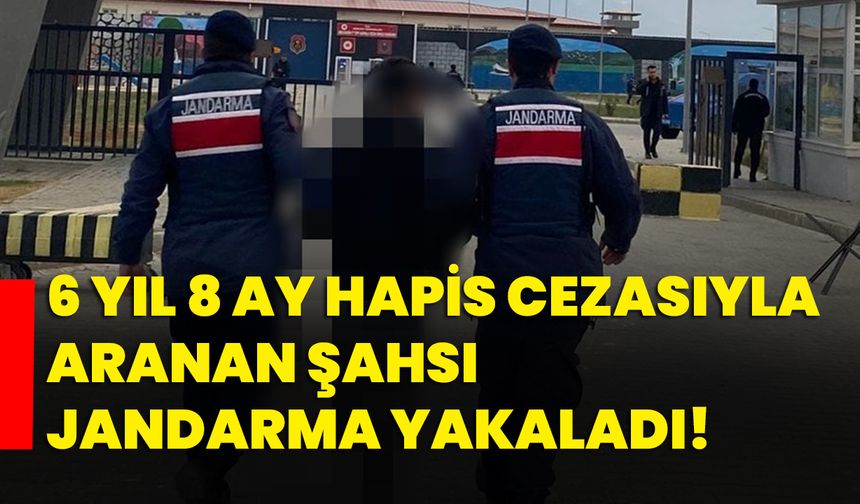 6 yıl 8 ay hapis cezasıyla aranan şahsı jandarma yakaladı!