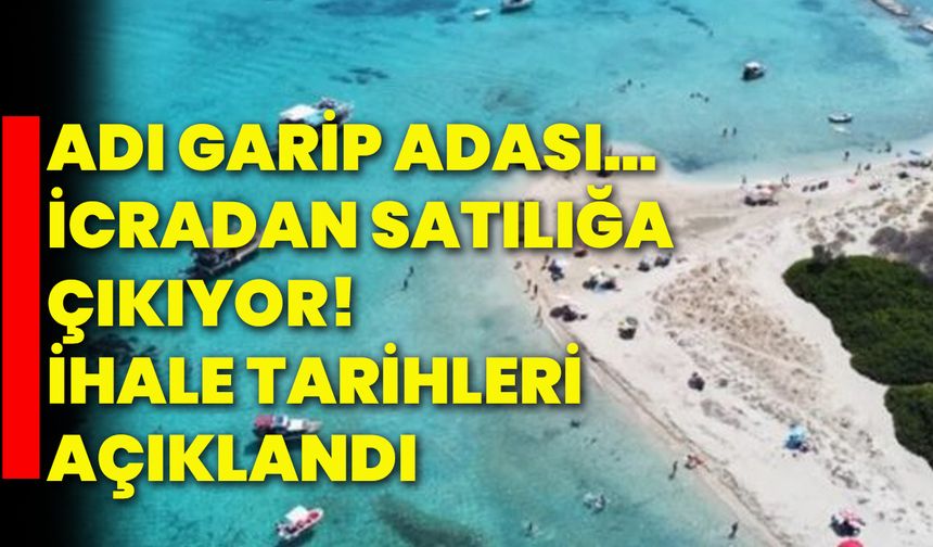 Adı Garip Adası… İcradan satılığa çıkıyor! İhale tarihleri açıklandı