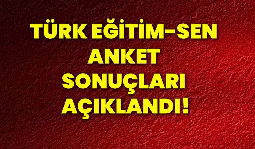 Türk Eğitim-Sen anket sonuçları açıklandı!