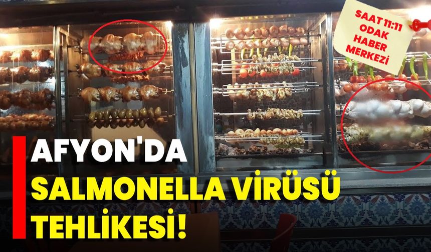 Afyon'da Salmonella virüsü tehlikesi!