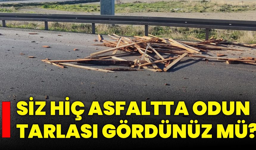 Siz Hiç Asfaltta Odun Tarlası Gördünüz Mü?