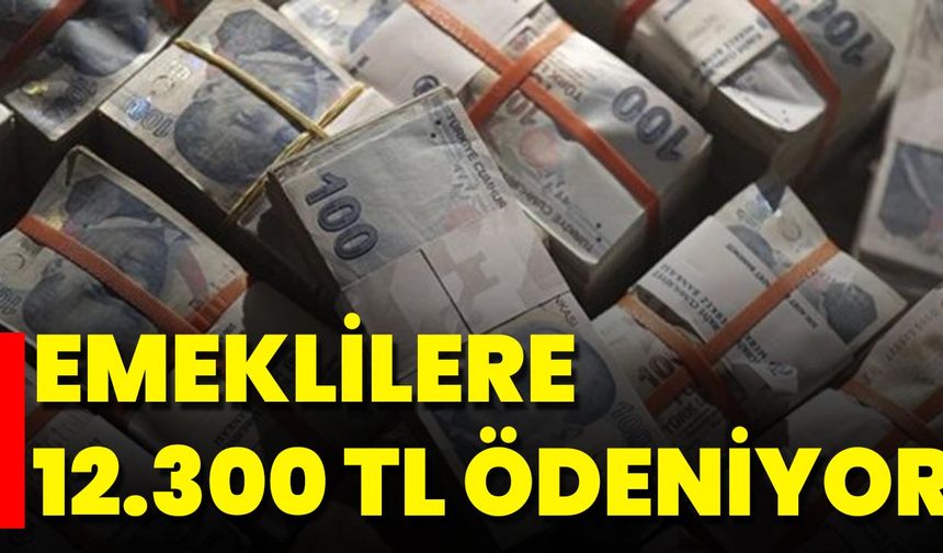 Emeklilere 12.300 TL Ödeniyor