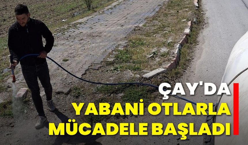 Çay'da Yabani Otlarla Mücadele Başladı