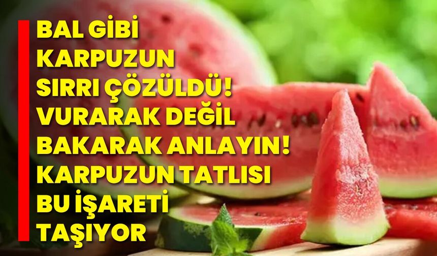 Bal Gibi Karpuzun Sırrı Çözüldü! Vurarak Değil, Bakarak Anlayın! Karpuzun Tatlısı Bu İşareti Taşıyor