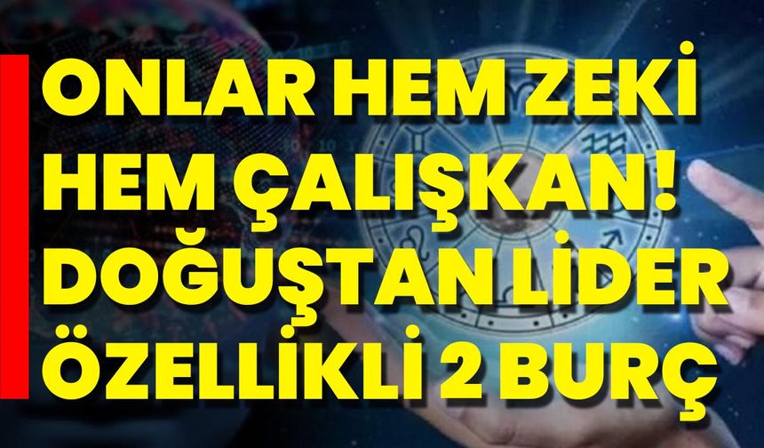 Onlar Hem Zeki Hem Çalışkan! Doğuştan Lider Özellikli 2 Burç