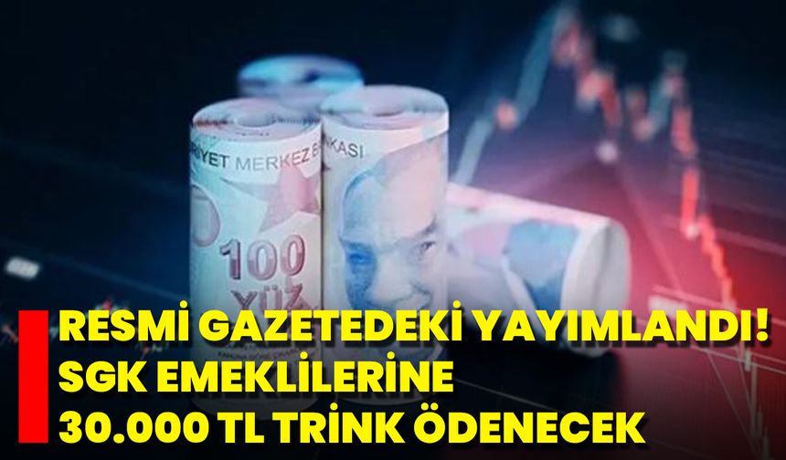 Resmi Gazetedeki Yayımlandı! SGK Emeklilerine 30.000 TL Trink Ödenecek