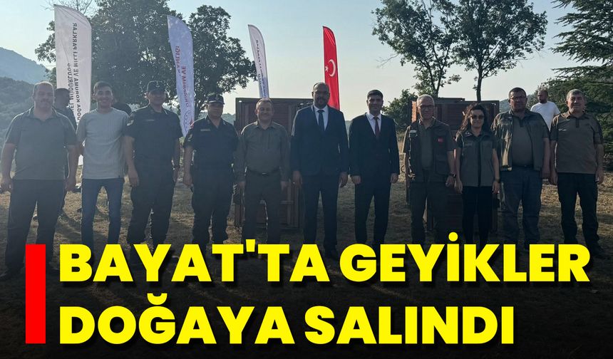Bayat'ta Geyikler Doğaya Salındı