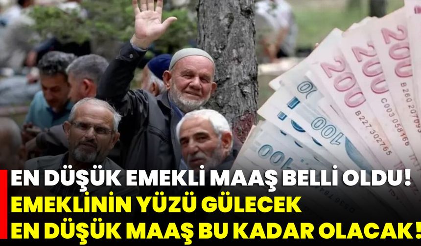 En Düşük Emekli Maaş Belli Oldu! Emeklinin Yüzü Gülecek, En Düşük Maaş Bu Kadar Olacak!