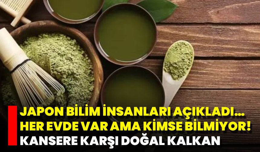 Japon Bilim İnsanları Açıkladı… Her Evde Var Ama Kimse Bilmiyor! Kansere Karşı Doğal Kalkan